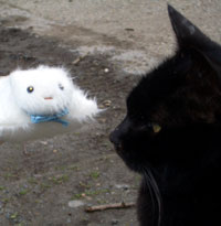 ばふばふと記念撮影