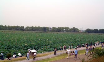 ものすごい人！