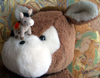 こんなに小さい