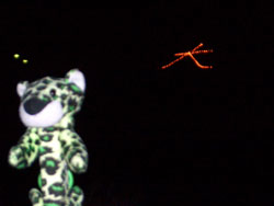 写真に撮るのは難しい