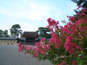 建礼門前の百日紅