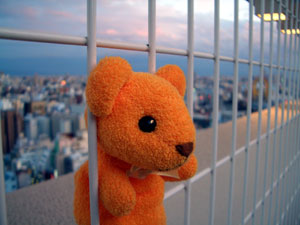 遊園地じゃないのか・・・