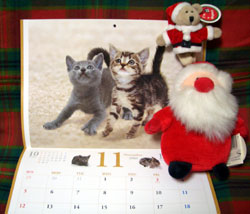 残念賞のカレンダー