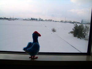 窓の外は銀世界