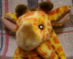 ハマーの金箔目