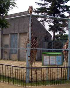 zoo0610_02.jpg