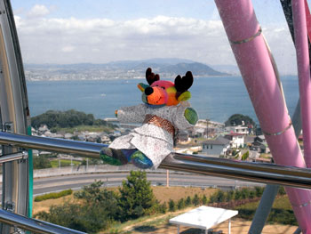 awaji0709_01.jpg