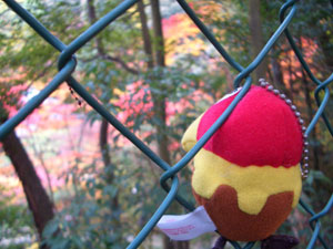 「きれいだなあ」