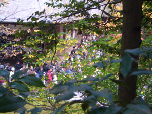 身動きもとれないような人！