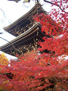 真如堂の三重塔