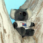 もちろんコアラのぬいぐるみも