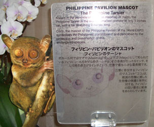 マスコットの名前は・・・